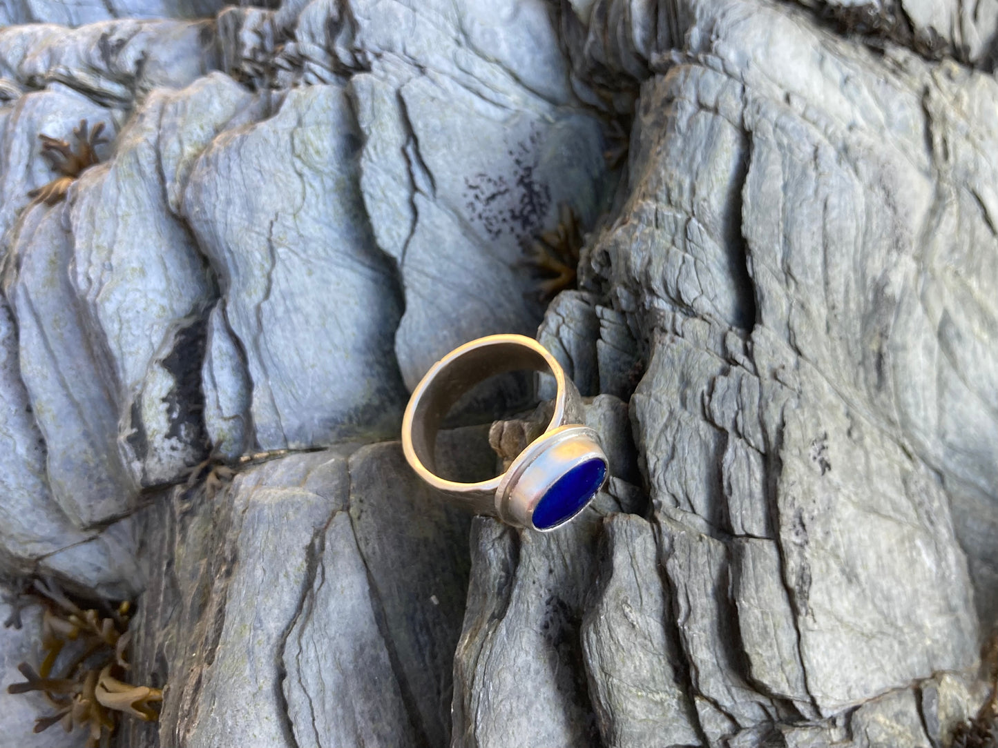 Treasure Keeper Ring