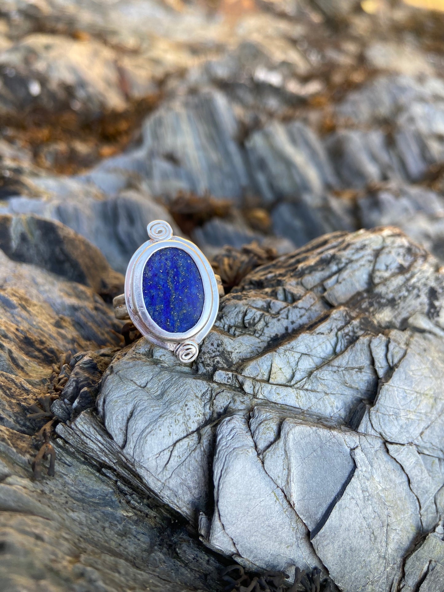 Treasure Lapis Lazuli Ring